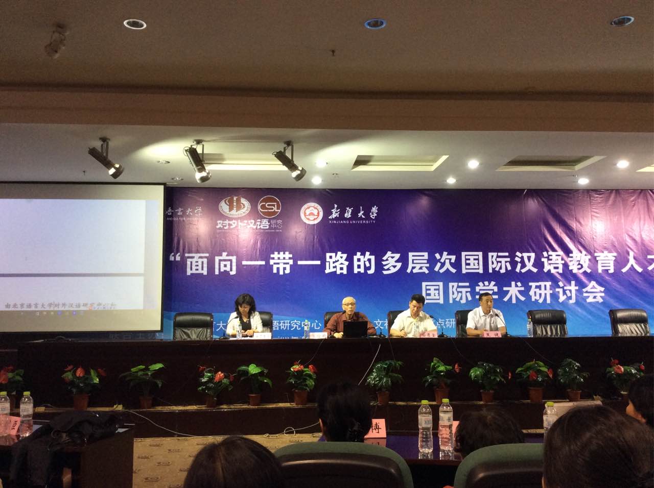 陆俭明:第13届对外汉语国际学术研讨会总结
