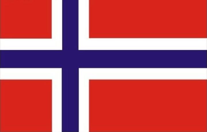 挪威语 挪威国旗
